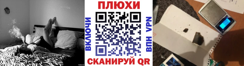 ГАШ Изолятор  omg сайт  Санкт-Петербург 